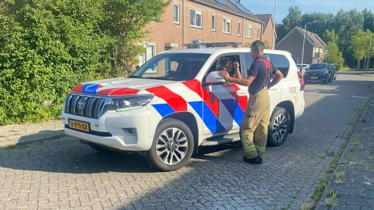 Grote brand in Gent te ruiken in Breskens en IJzendijke