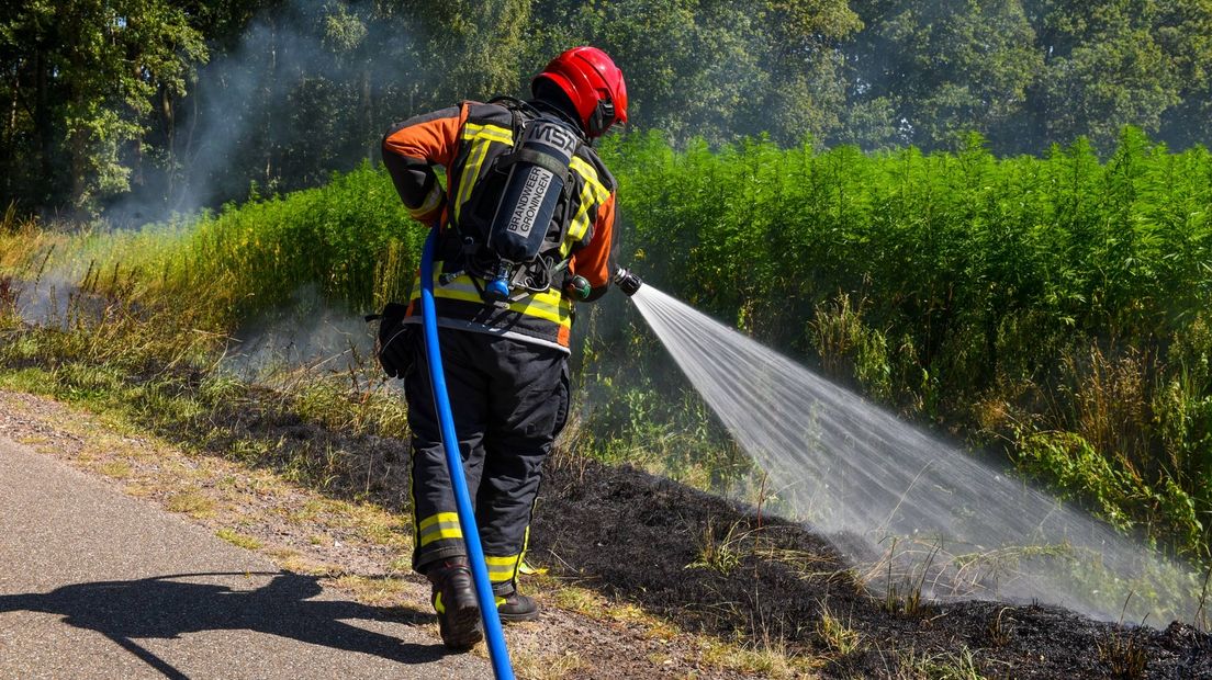 De brandweer blust vrijdagmiddag een bermbrand bij Westerlee