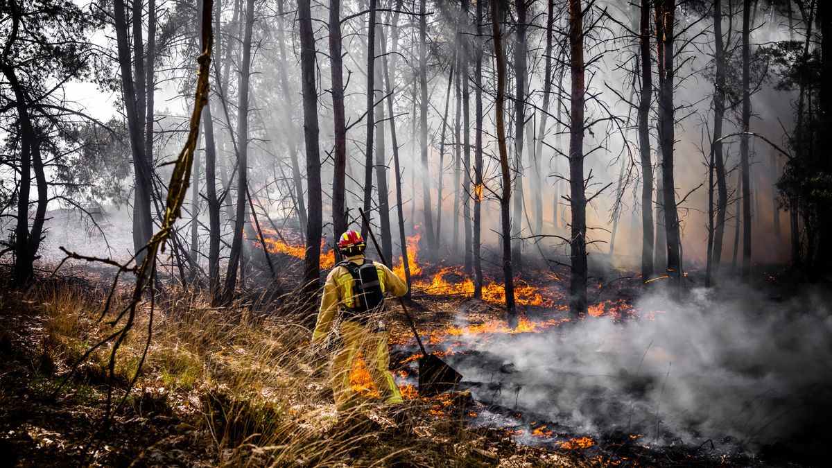 Vuur laait op in Weert, natuurbranden in Limburg nog niet geblust