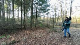 Marks Minuutje: is het een boomklever of een boomkruiper