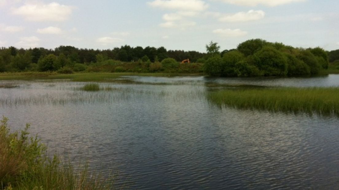 Dwingelderveld