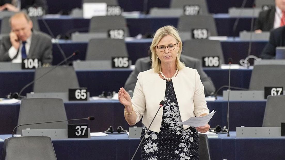 Annie Schreijer-Pierik in het Europees Parlement