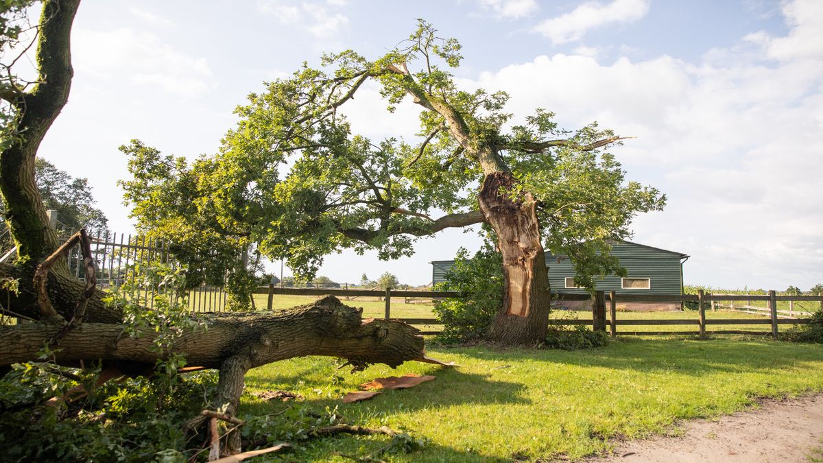 Ravage na storm: weg Hollandsche Rading blijft voorlopig dicht