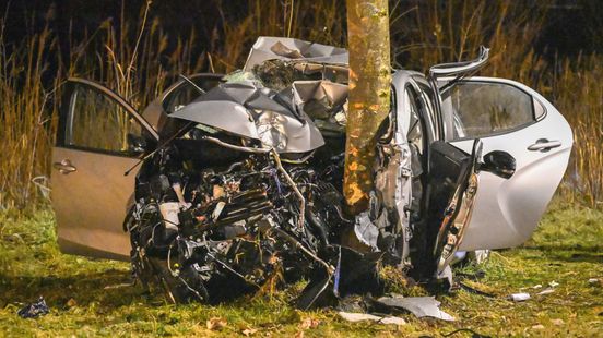 Auto crasht tegen boom, ambulances en traumahelikopter rukken uit Home
