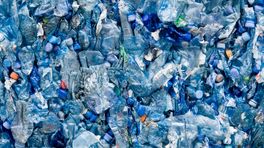Recyclebedrijven verliezen het van goedkoper nieuw plastic