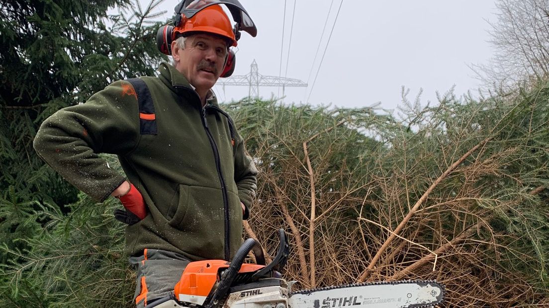 Boswachter Bergman en de kerstboom voor de Tweede Kamer