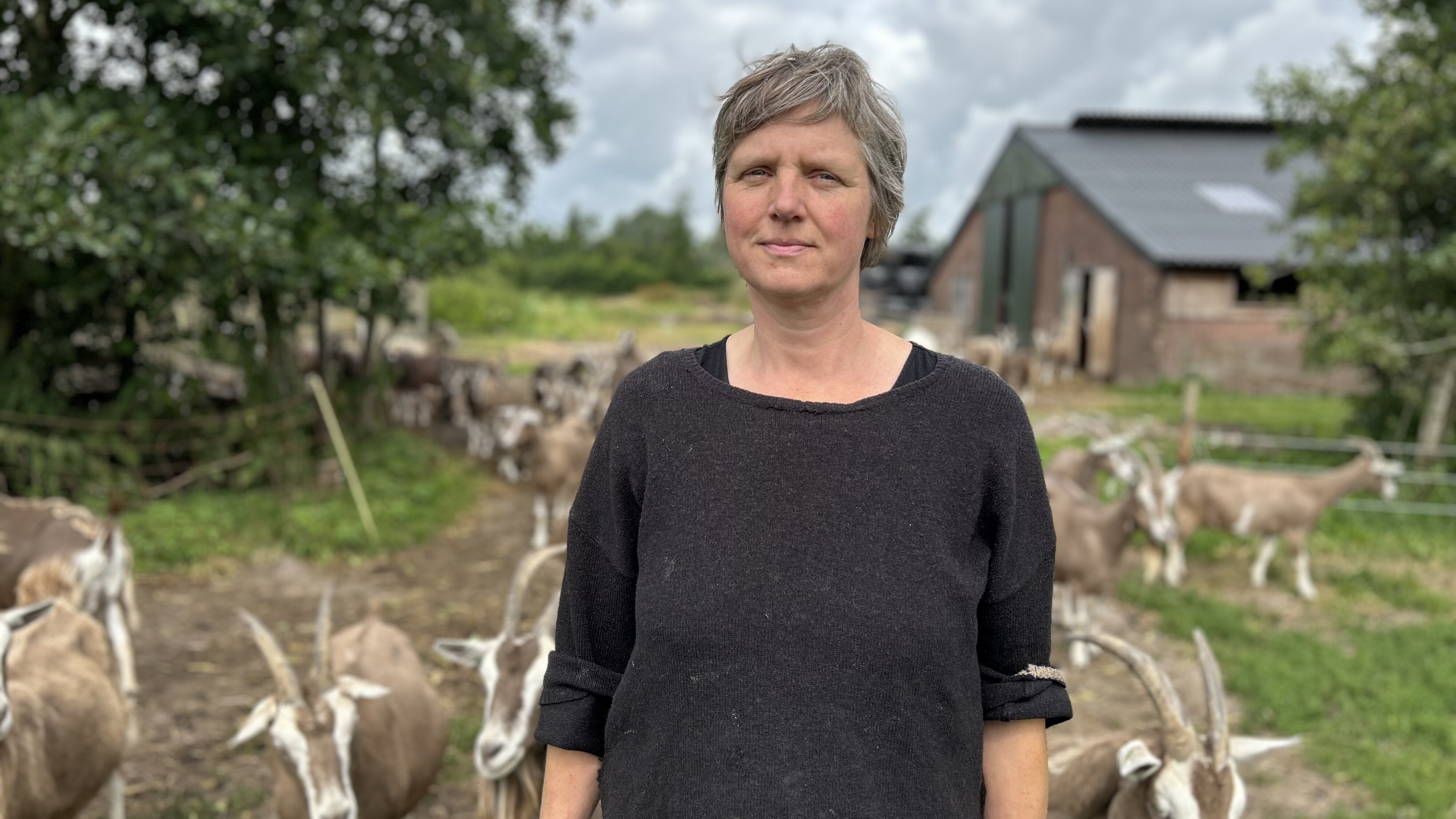 Doetie Trinks mei har geiten