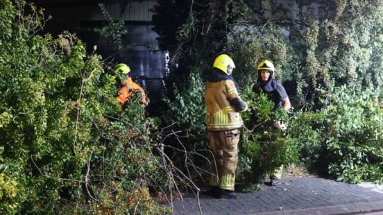 Brandweer verwijdert boom • bouwvakker overleden