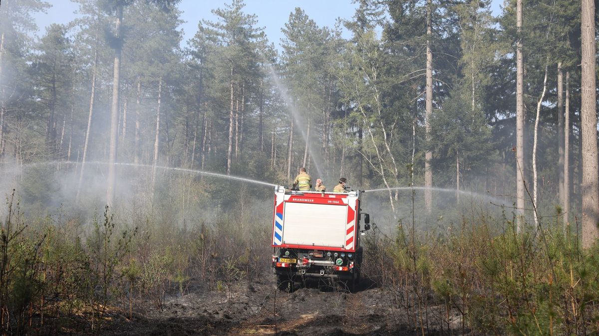 Brand in kurkdroog bos Lage Vuursche