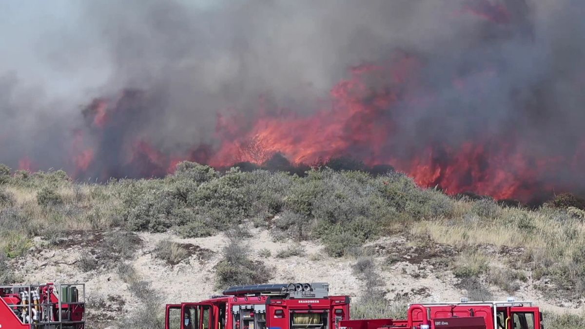 Duinbrand in Wassenaar