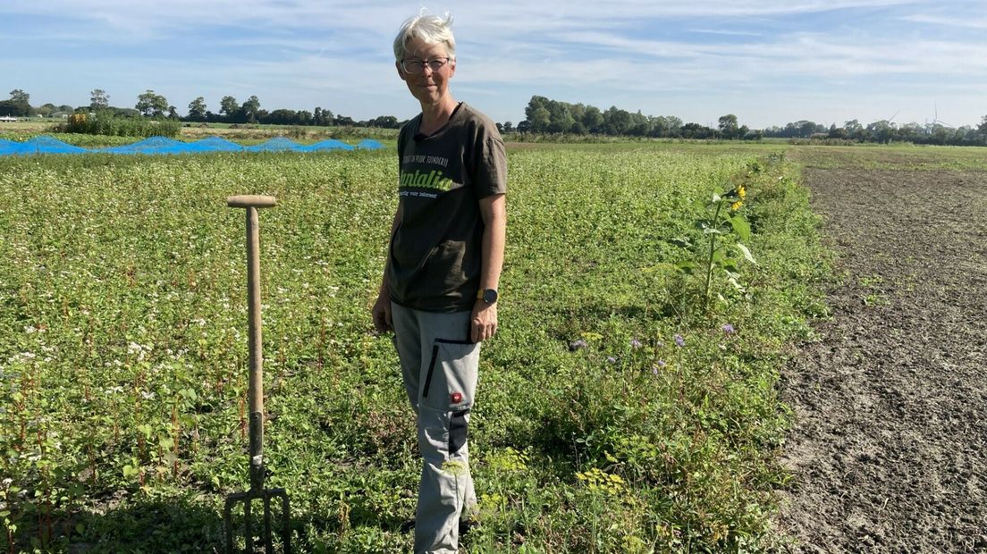 Karin Körver veganistische landbouw vegan tuinderij groente teelt Ritthem