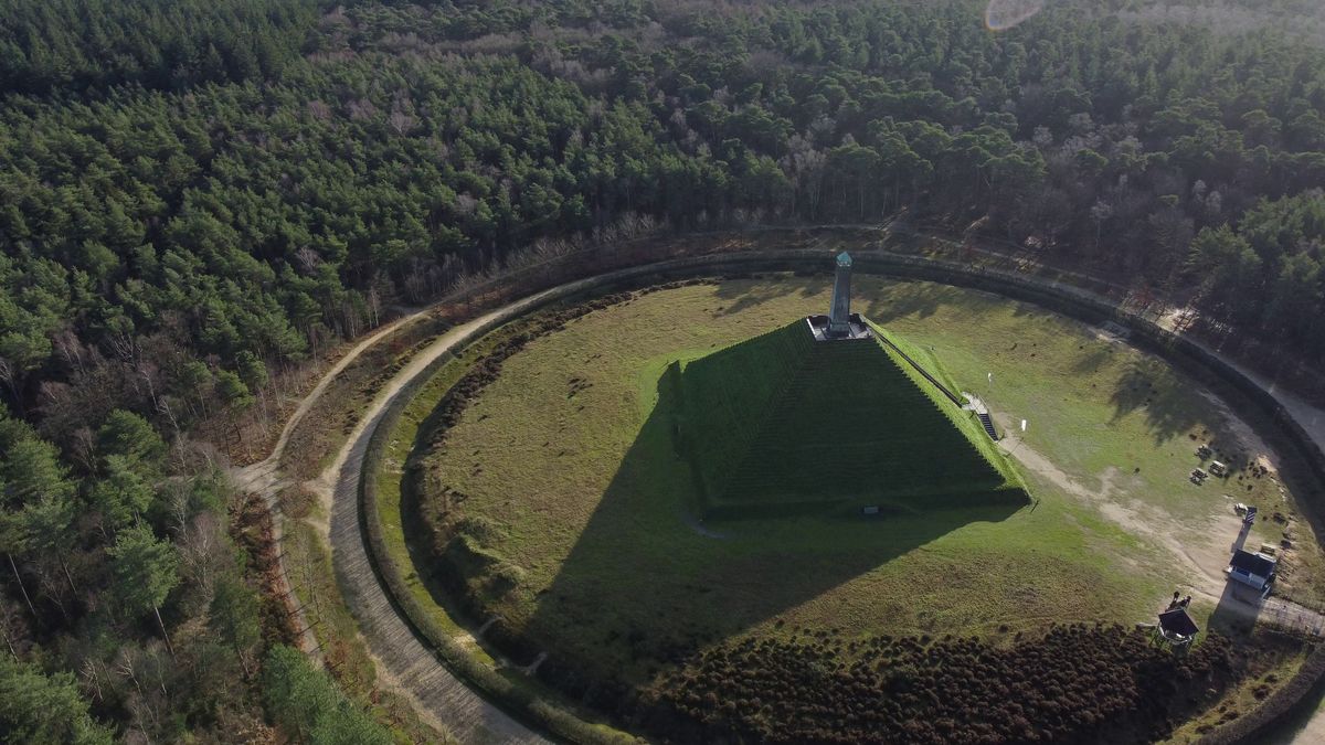 Organisaties over de wolf in Austerlitz: Ezelsociëteit bezorgd, anderen blijven kalm