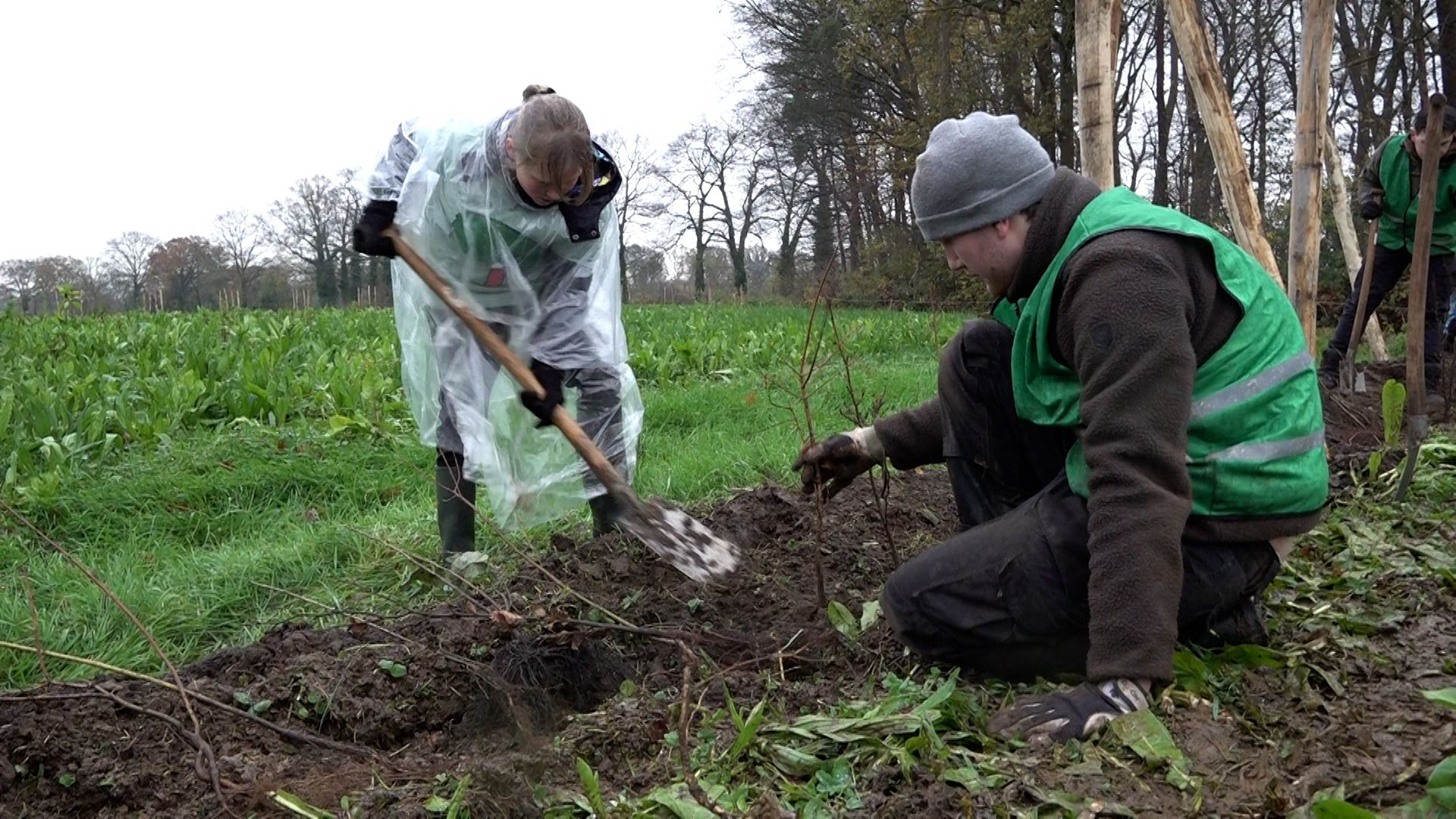 Nationale Boomfeestdag na 68 jaar op boerderij
