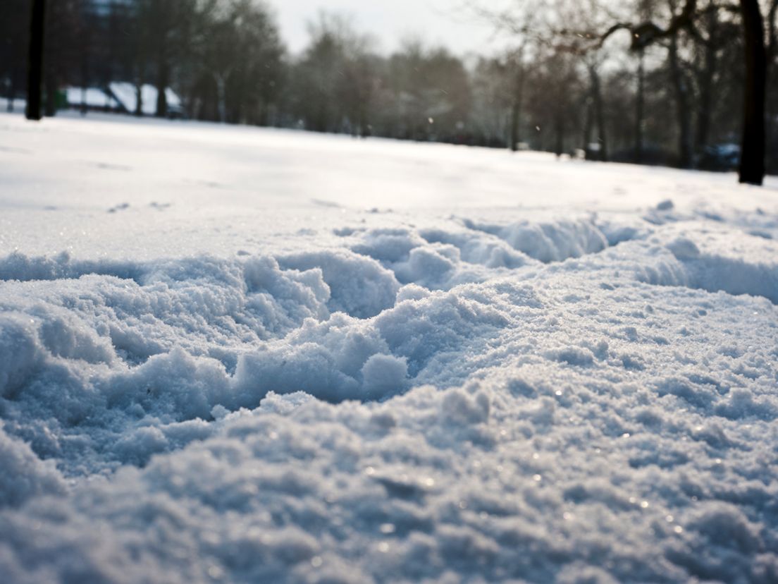Sneeuw Fotografie Roals Sekeris
