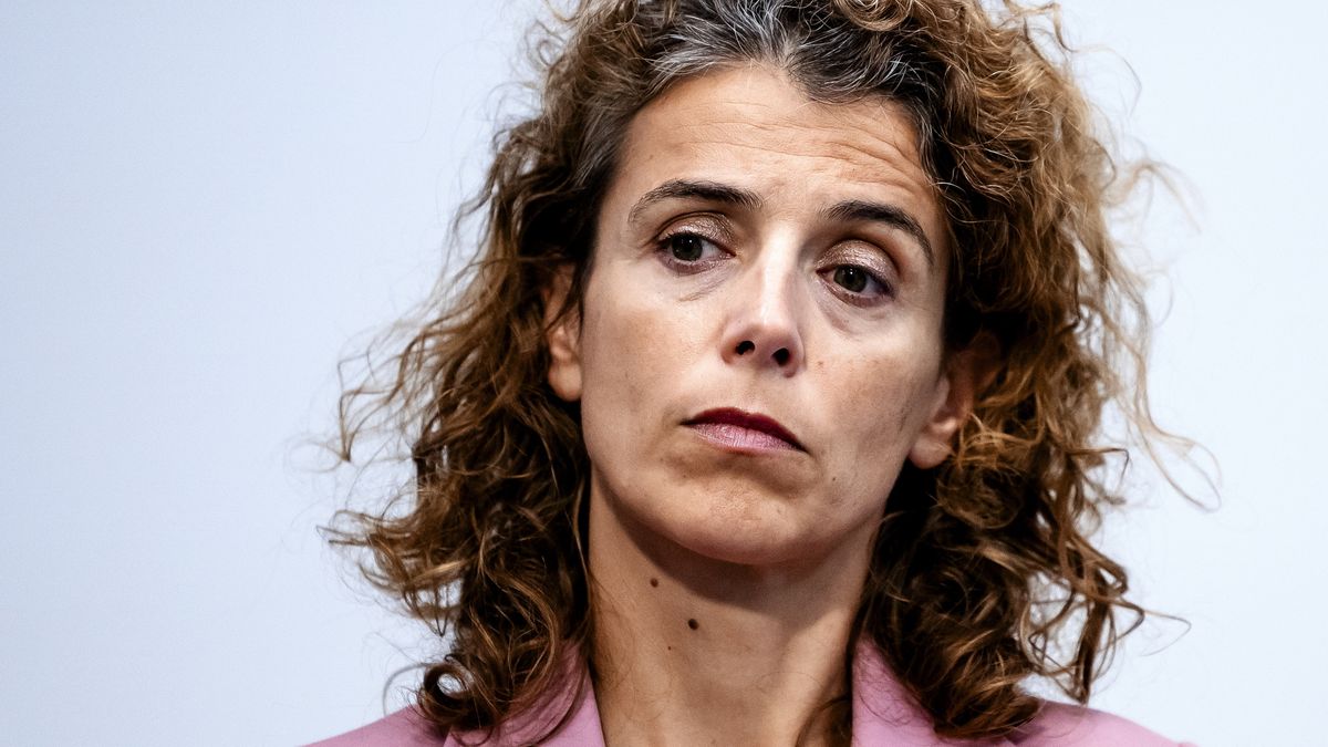 Duidelijkheid over gaswinning bij Ternaard komt voor jaarwisseling, belooft minister: 