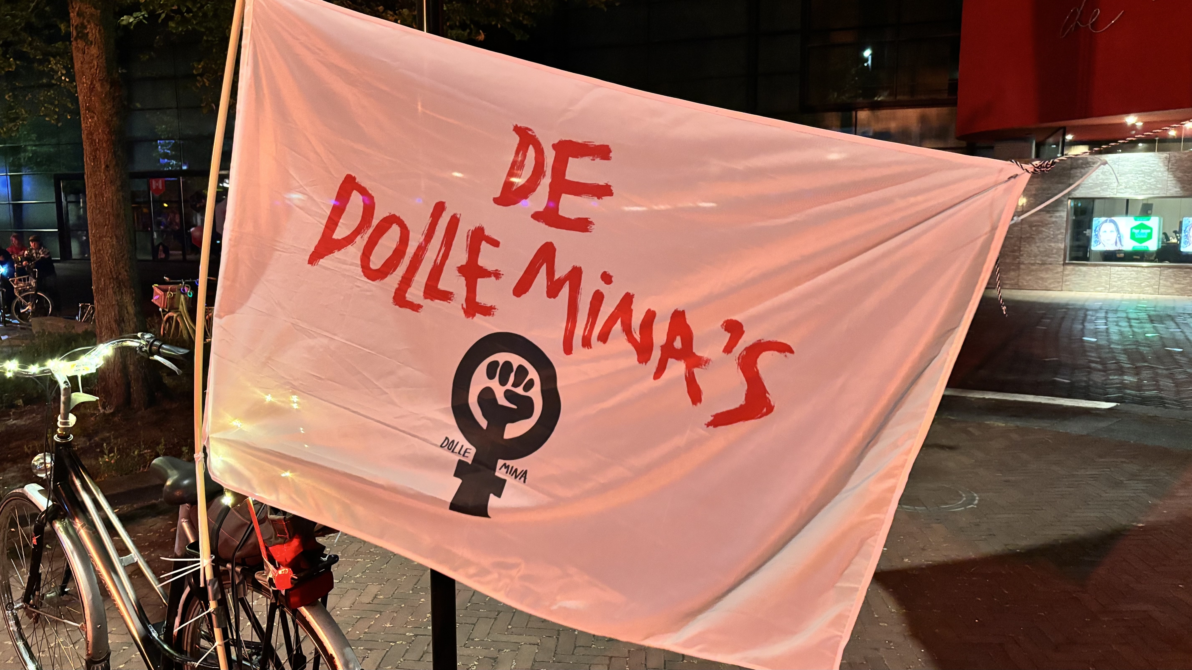 De Dolle Mina's yn aksje