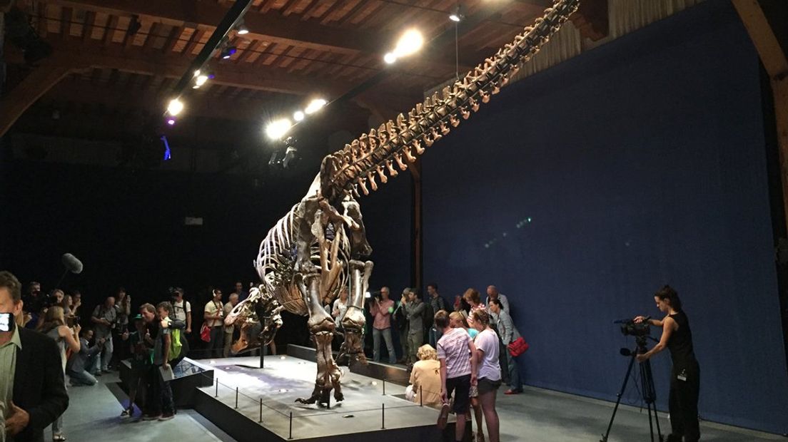 Het dinosaurusskelet 