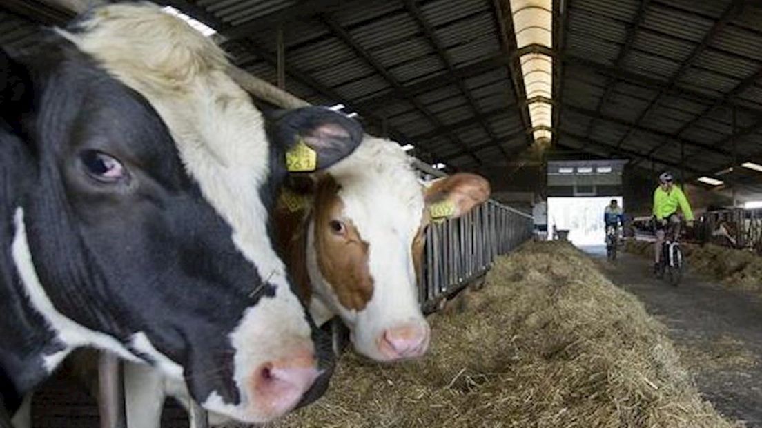 Innovatieve sensor voor snel ontdekken dierziekten