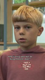 Wat doet een burgemeester?
