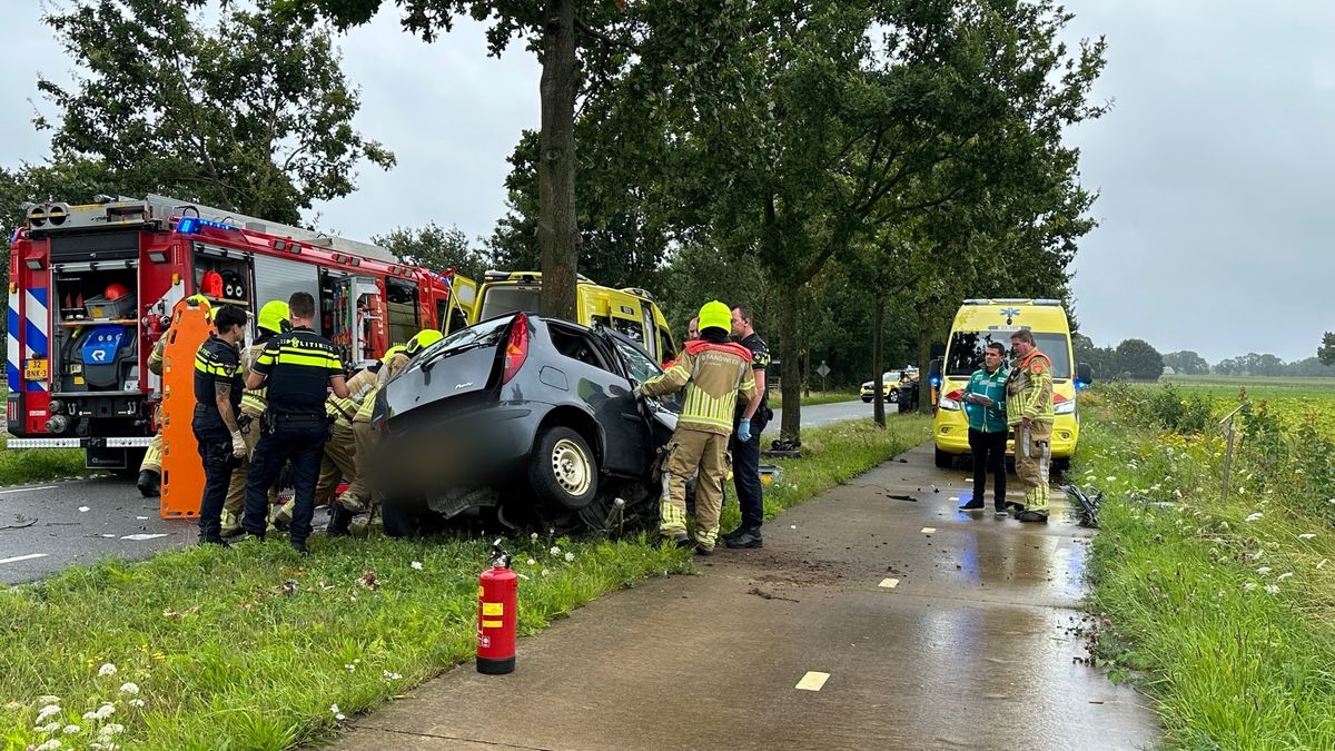 Auto botst tegen boom: automobilist zwaargewond