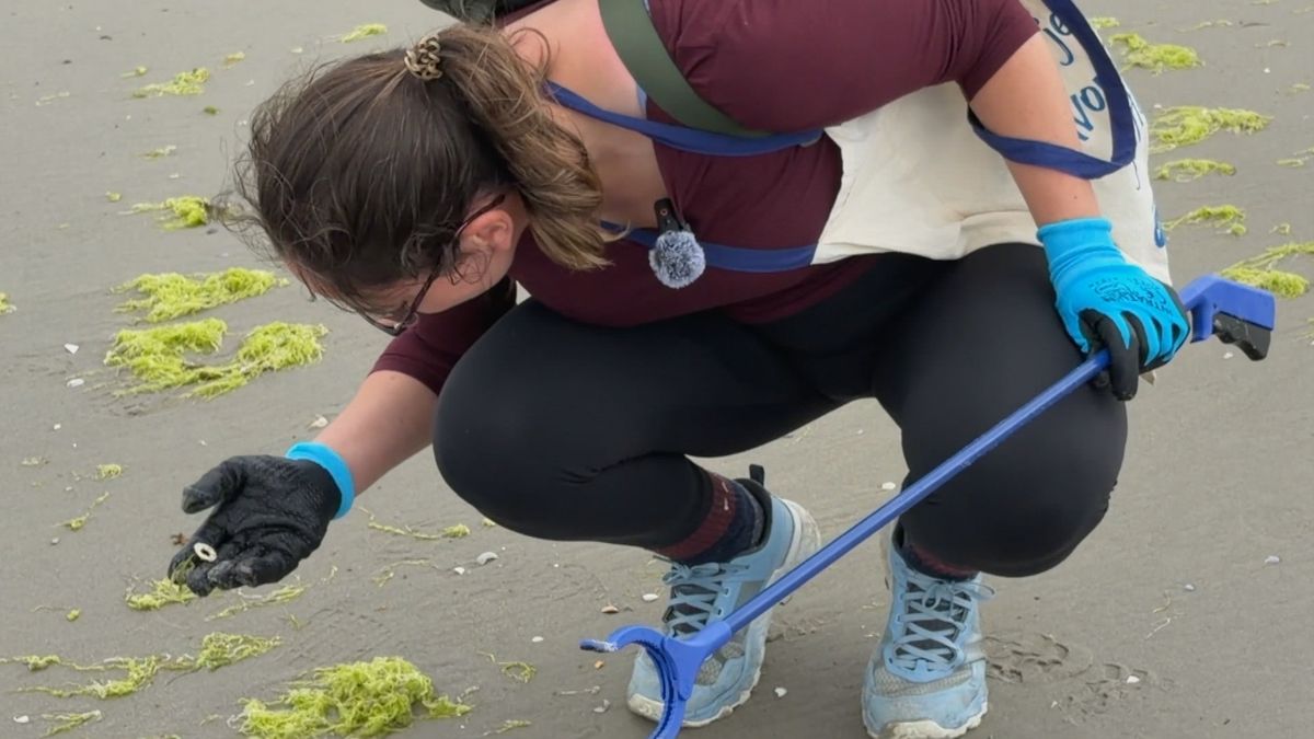 Vrijwilligers maken strand van Ameland schoon: 