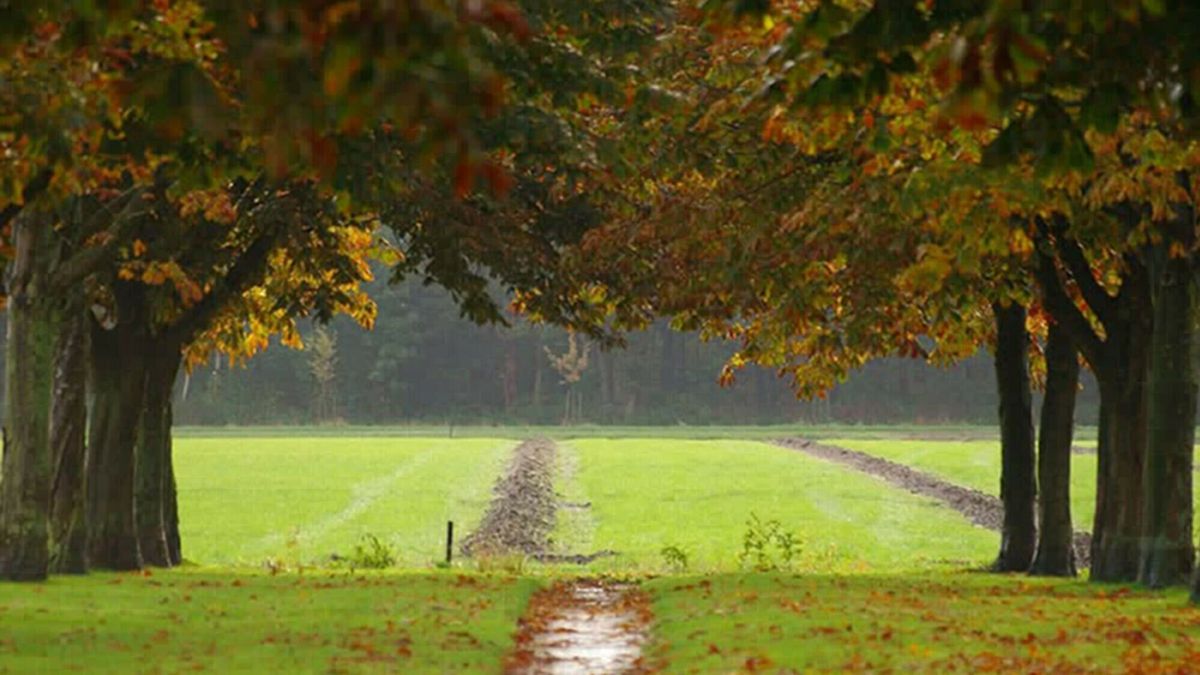 Een schilderachtig doorkijkje nabij Veenhuizen