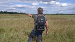 Onderzoek naar waterspitsmuizen
