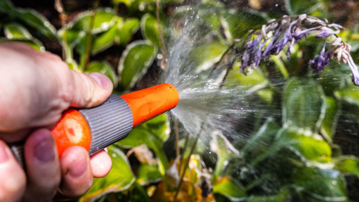 Nooit eerder getroffen maatregelen vanwege droogte zijn ingegaan: dit betekent het voor jou