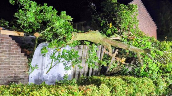 Harde wind veroorzaakt schade: bomen op huizen, dakpannen op straat