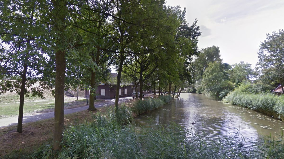 Nieuwegein wil dat iedere inwoner uitkijkt op 3 bomen