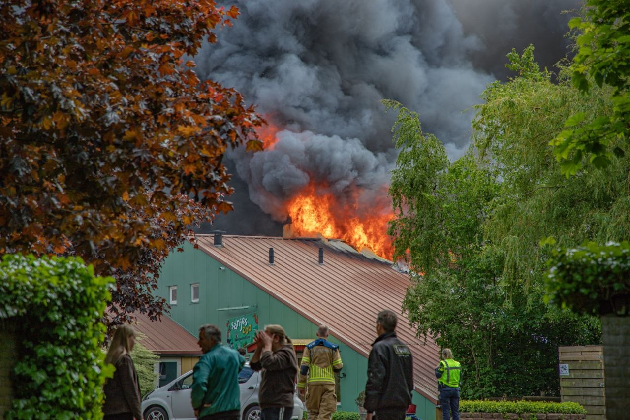 Bern mei bussen evakuearre by grutte brân SanjesZoo: "Se hawwe net yn gefaar west"