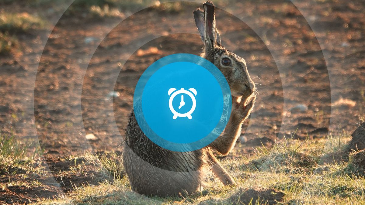 Goedemorgen! Valentijnscadeaus, speeddates en Goese damwand