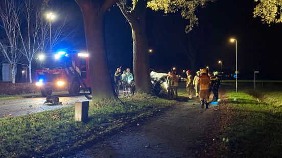 Auto botst tegen boom in Wanssum: bestuurder overleden Nieuws