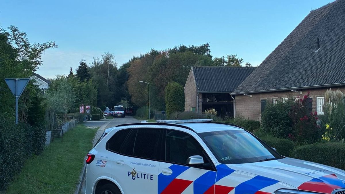 Hoe ontsnap je uit een criminele familie?