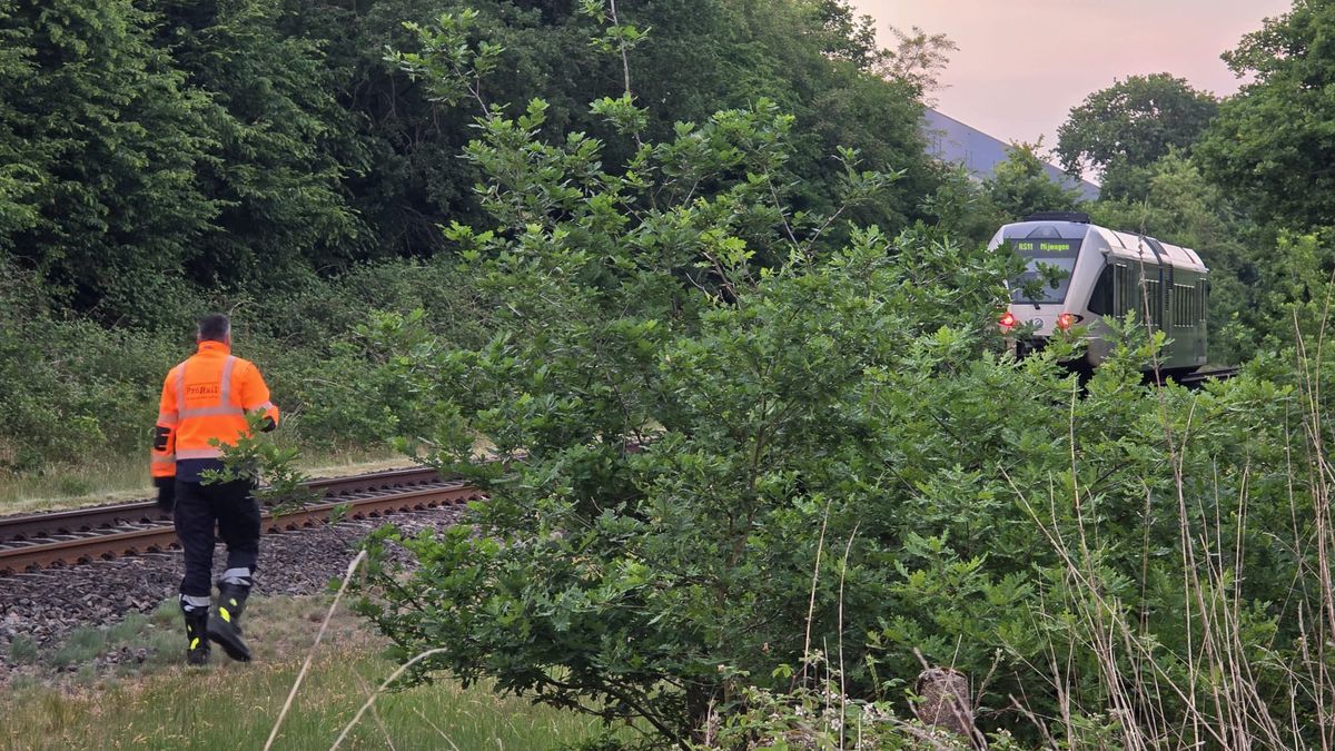 Geen treinen tussen Tegelen en Reuver door aanrijding