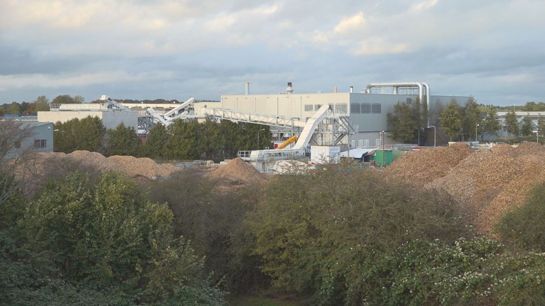 Biomassacentrale en palletfabriek IceBear in Steenwijk