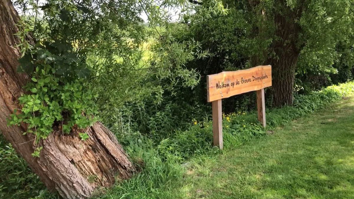 Aanleg Groene Dorpsploats Lutjegast van start gegaan