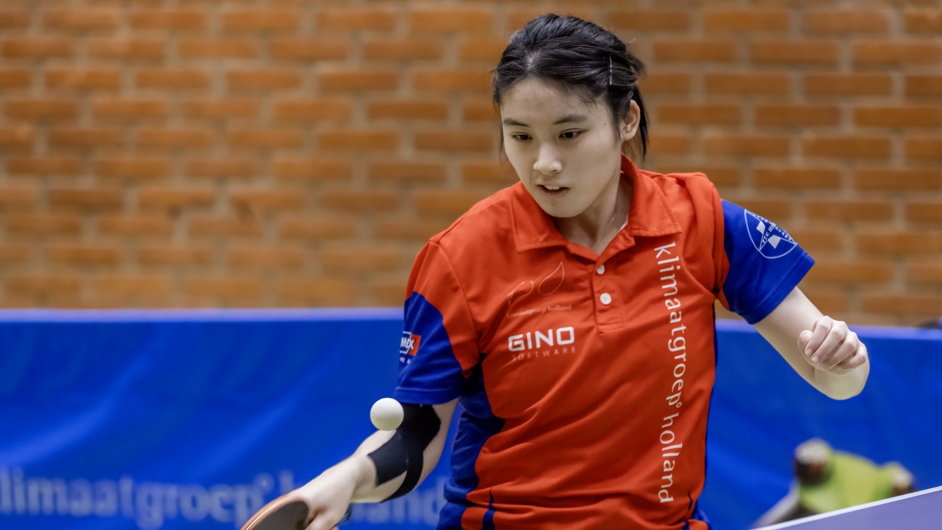 Klimaatgroep Stars pakt weer de volle buit