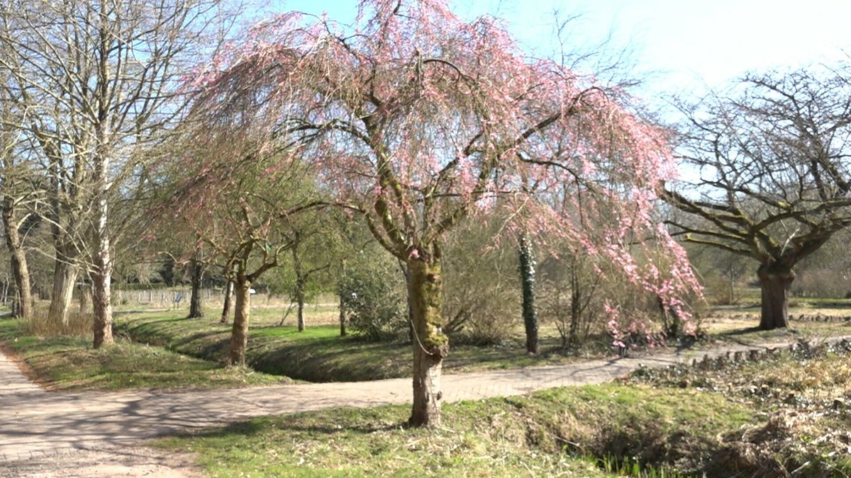 Tuinen van De Proef in Frederiksoord mikt op beschermde internationale status