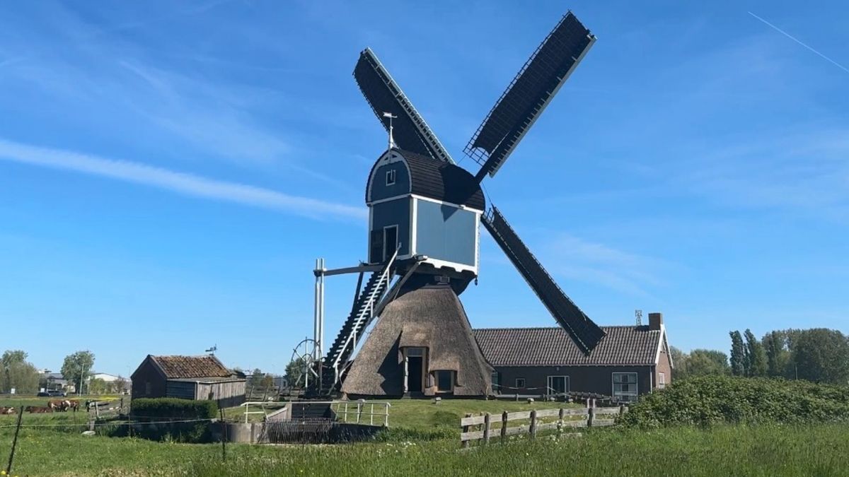 400 jaar oude molen krijgt mogelijk nieuwe kans: 'Dan klopt het verhaal weer'