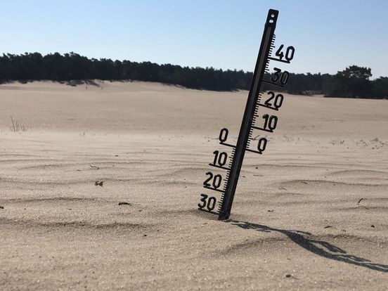 Weeronline: warmste februari ooit gemeten door continu zacht weer