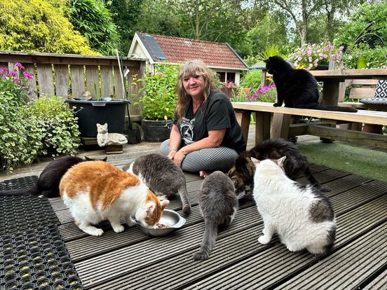 Joly zet zich dag en nacht in voor zwerfkatten: 'Dan maar geen vakantie'