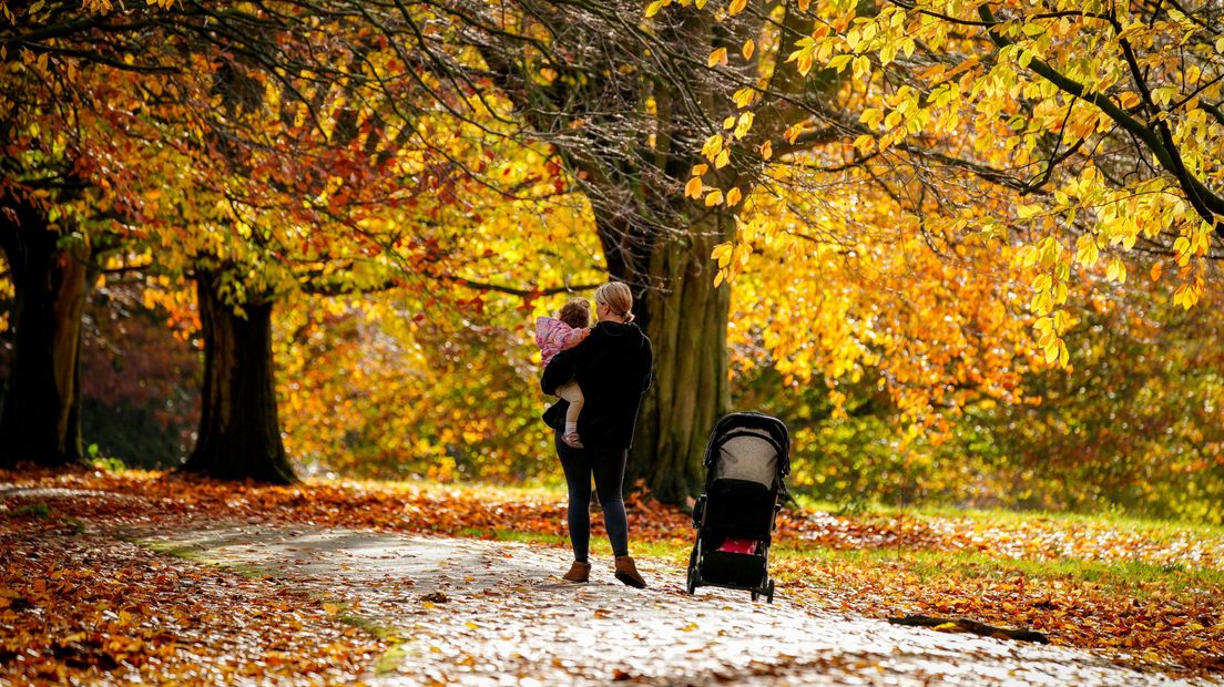 Geadviseerd wordt om donderdag uit de buurt van bossen en parken te blijven