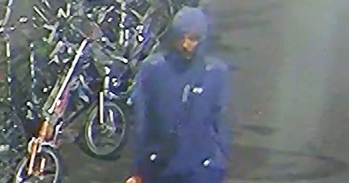 Vrouw gevolgd en aangerand - nieuw beeld verdachte