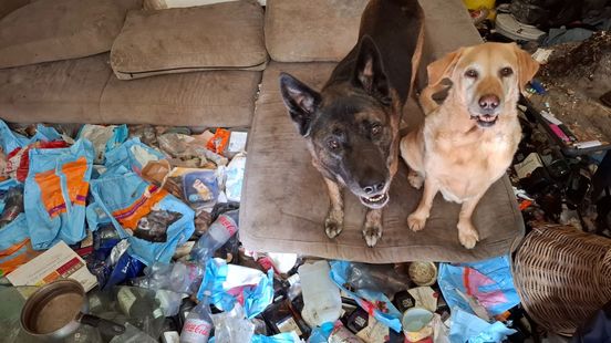 Inspectiedienst haalt zestien dieren weg uit huis vol vuilnis