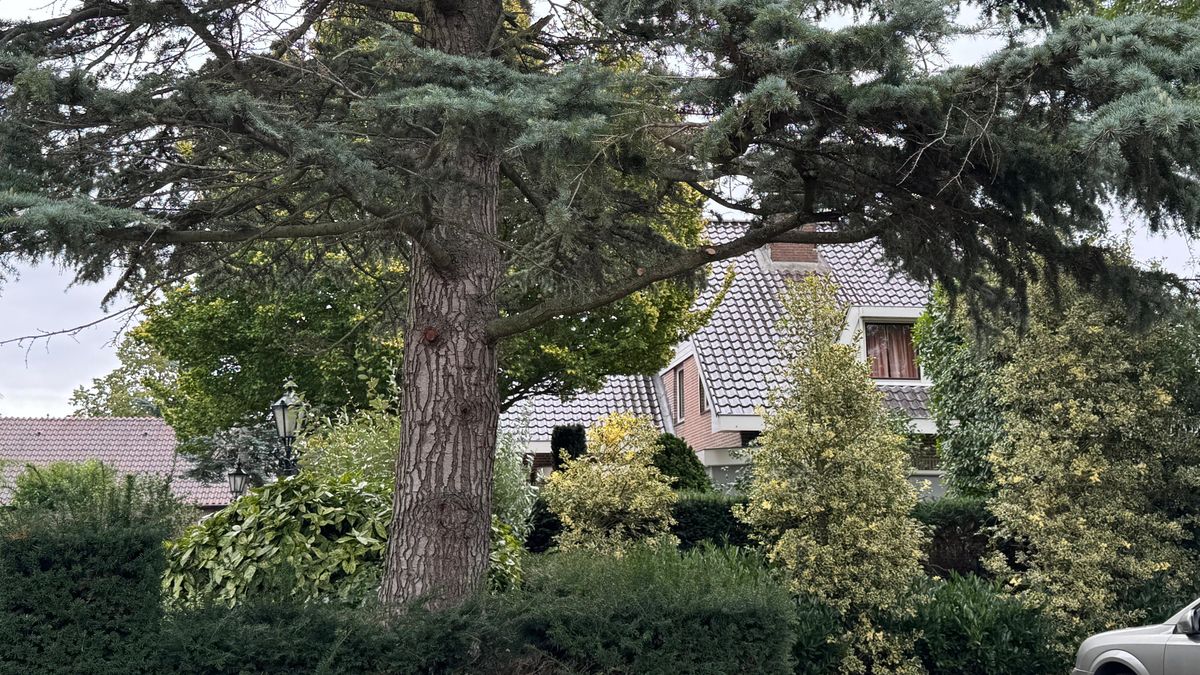 Verdachte gewelddadige verkrachting Zeist onderzocht in Pieter Baan Centrum