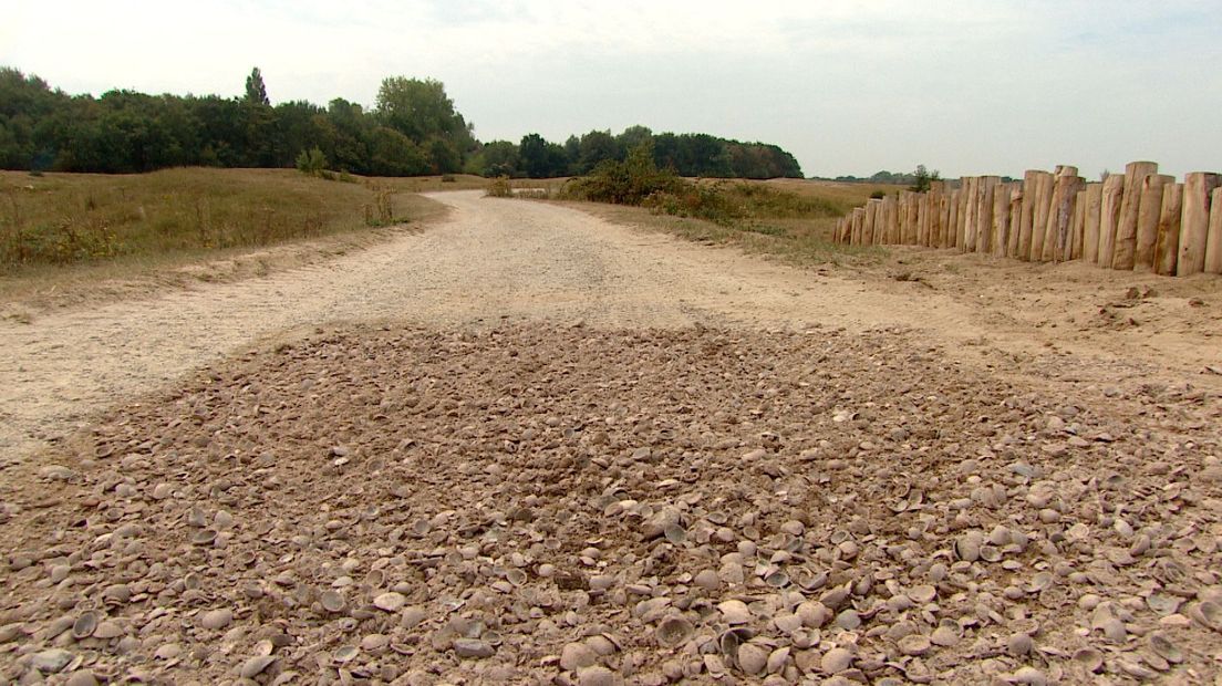 Fietspad Renesse