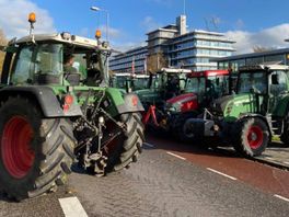 Boeren protesteren bij provinciehuis om handhaven bij PAS-melders van tafel te krijgen