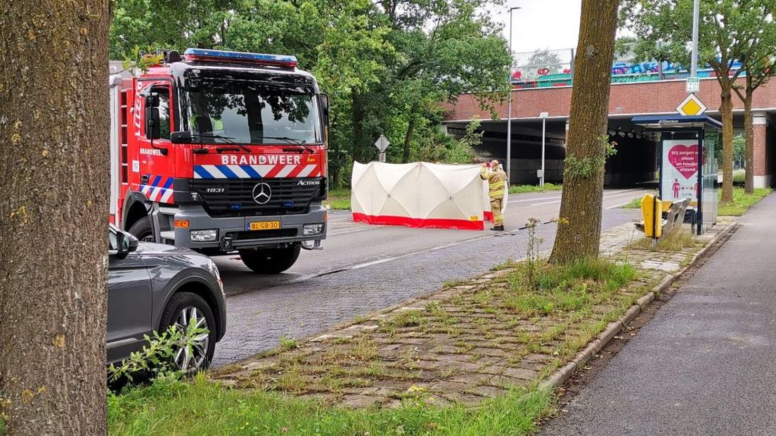 Het paard heeft de aanrijding met een vrachtwagen niet overleefd.