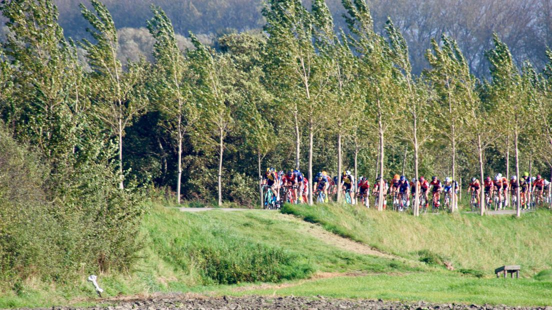 Het peloton van de Tacx Pro Classic op de Zwaaksedijk in Kwadendamme